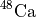 $^{48}\mathrm{Ca}$